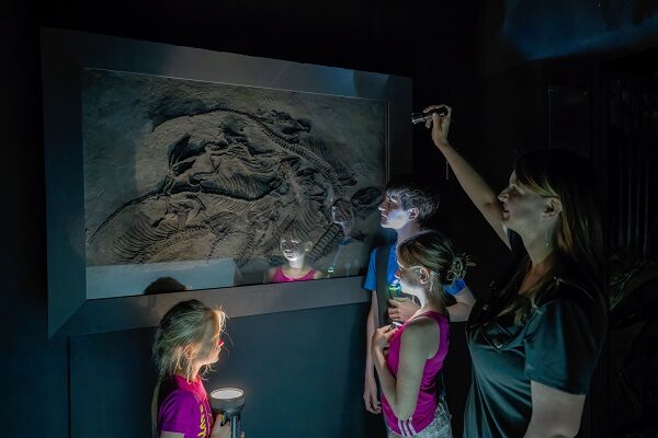 Familie mit Taschenlampen beim Entdecken der ausgestellten Fossilien